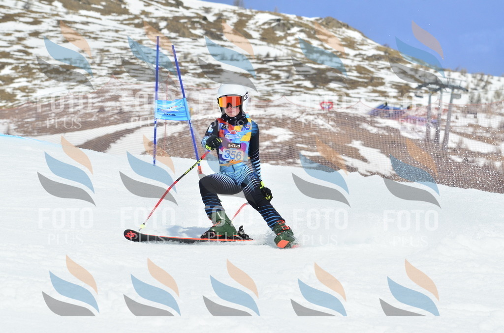 _ELE2761 | holidayphoto