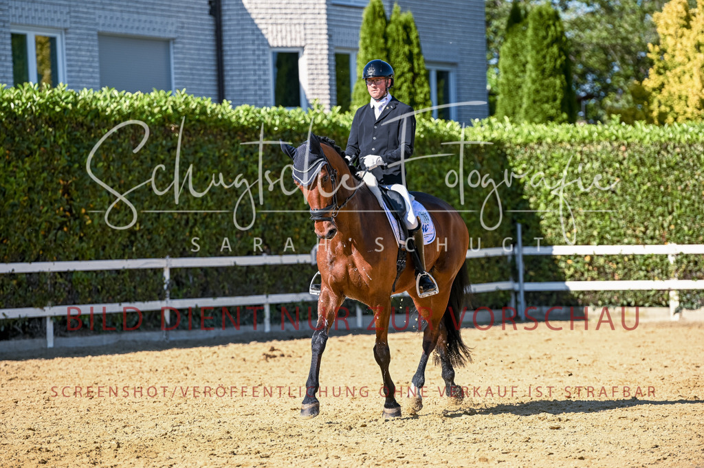 Schugtsche-Aluta25-50.Dressurpferdeprf.L-269 | Schugtsche Fotografie - Realisiert mit Pictrs.com