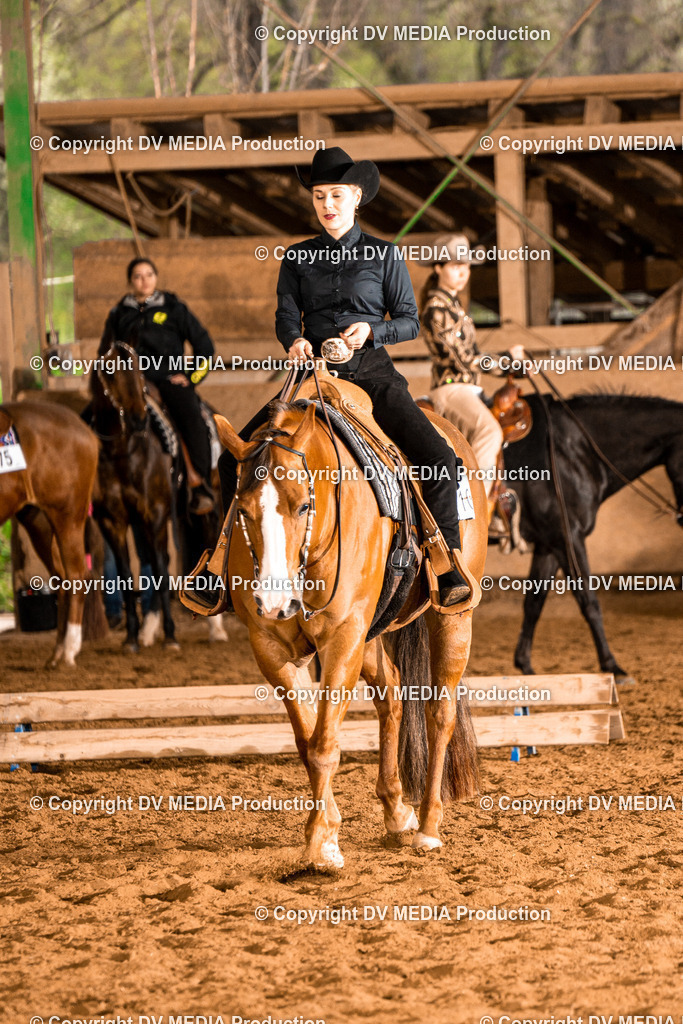 BAL00202 | dv-media-shop - Realisiert mit Pictrs.com