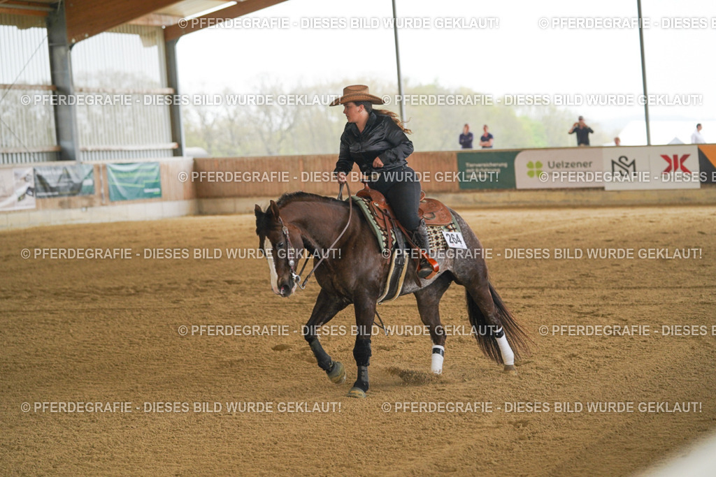 DSC07436 | Pferdegrafie