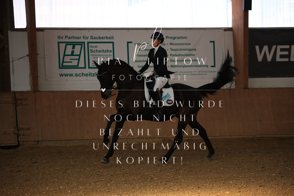 IMGT2433 | pl-fotografie