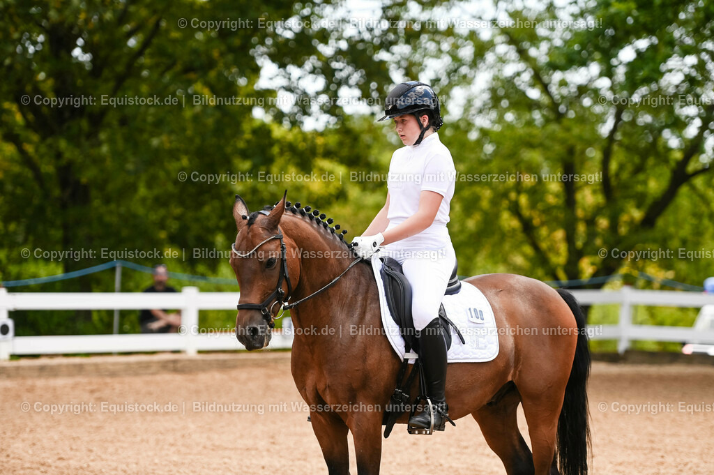 20230715_05_Dressurprüfung Kl.A++_0051 | equistock