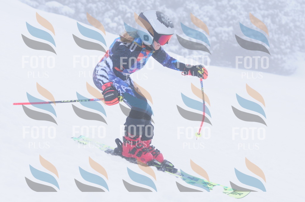 C2501 | holidayphoto