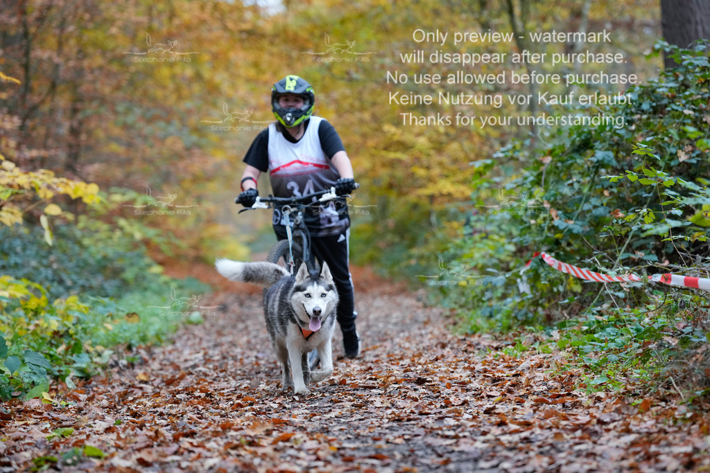 Scooter_So_110-2 | stephaniefillaphotographie - Realisiert mit Pictrs.com