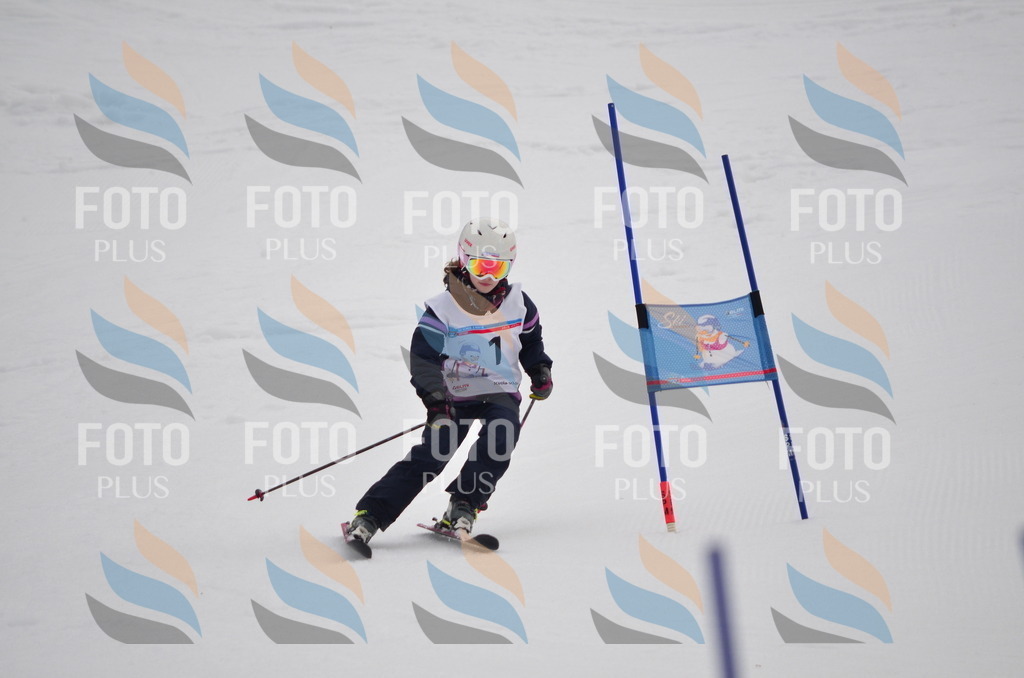 C0175 | holidayphoto