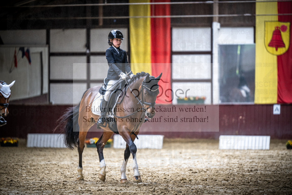 DOS_1024 | Reitturnier Lüdinghausen - Realisiert mit Pictrs.com