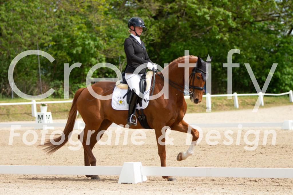 IMG_6865 | Creatify Fotografie