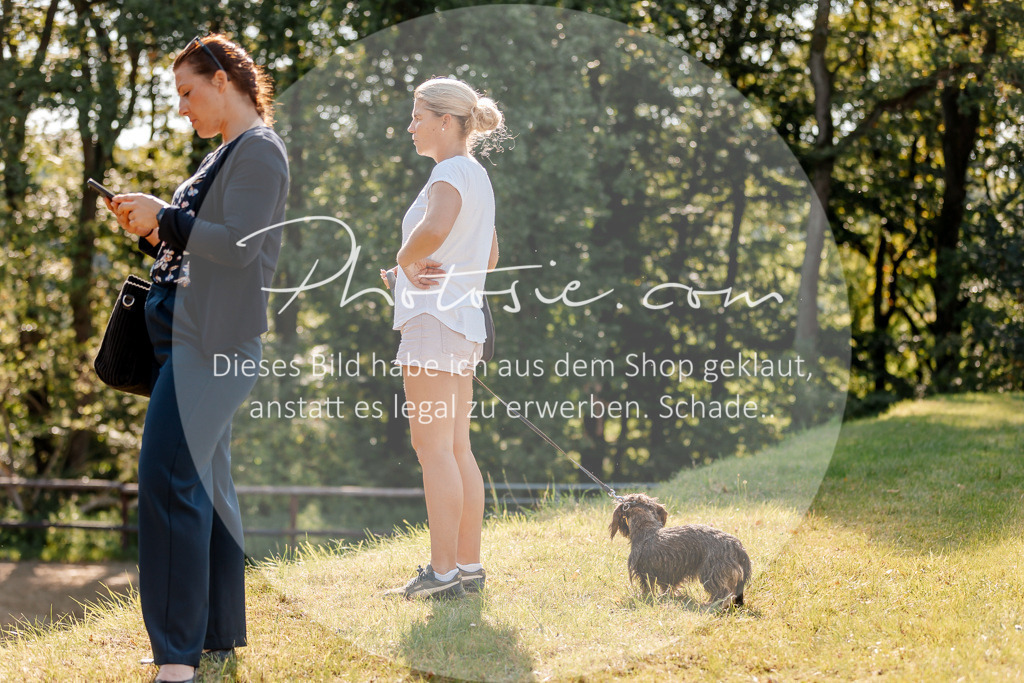 3I6A3249 | Stimmungsvolle Portraits und Reitsportfotografie im Ruhrgebiet und im Münsterland.

Pferdefotografie, Hundefotografie, Tierfotografie, Reportagen, Portraits von Tier und Mensch, Turnierfotografie in Bochum, Recklinghausen, Marl, Haltern am See, Dülmen.. - Realisiert mit Pictrs.com