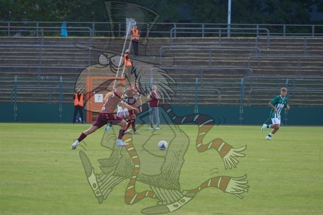 BFC Dynamo vs. VfB Lübeck 1919 053 | mythos-online-redaktion