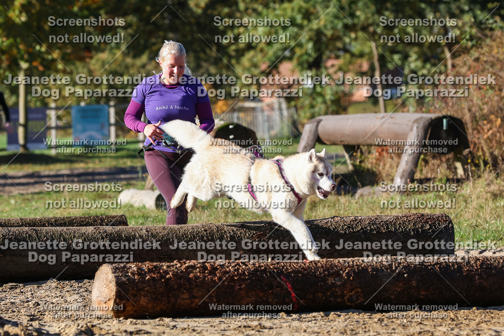 Dog Paparazzi - Strongdog 10-25-1580 | Dog Paparazzi Jeanette Grottendiek Fotografie & Videografie - Realisiert mit Pictrs.com