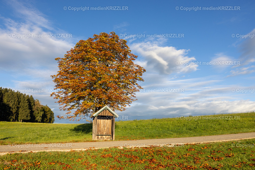 _J3A3077 | medienkrizzler - Realisiert mit Pictrs.com