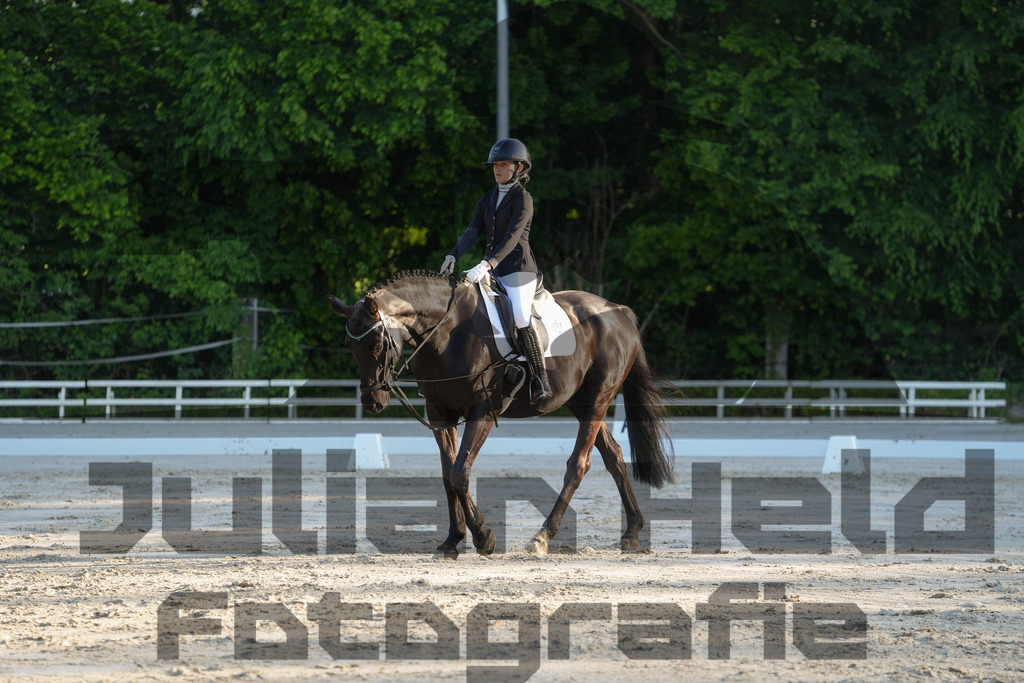 DSC02598 | Julian Held Fotografie - Realisiert mit Pictrs.com