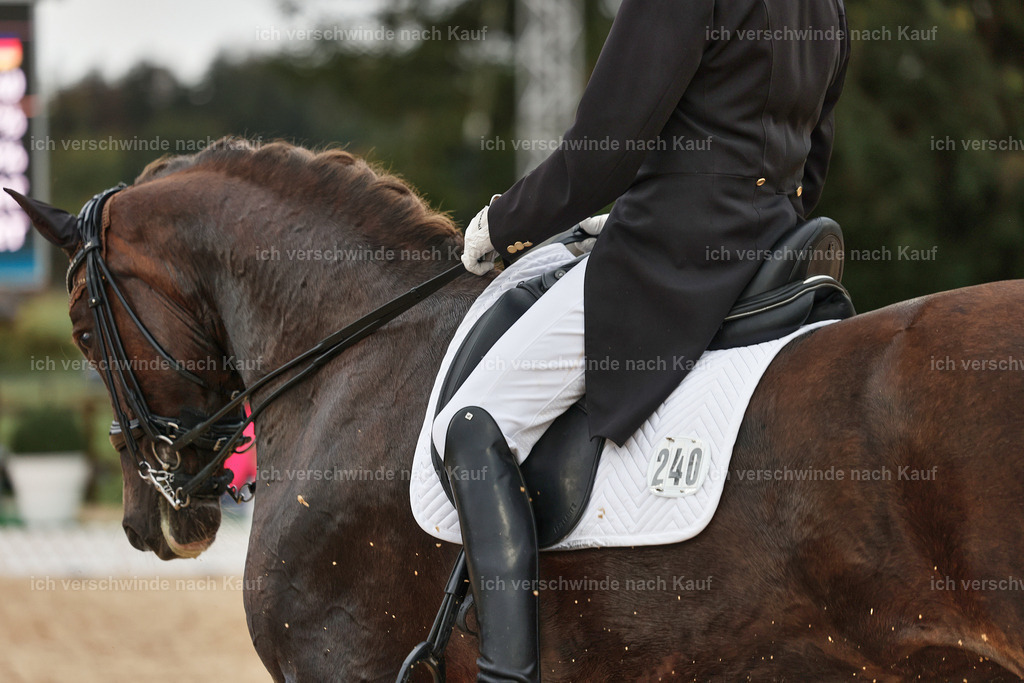 8_2-240-DRESSUR S_  -StoibPH-4459 | working equitationturnier fotograf videograf stoibphotography marixx film working equitation deutschland reitsport turnierfotografie eventfotografie equestrian events