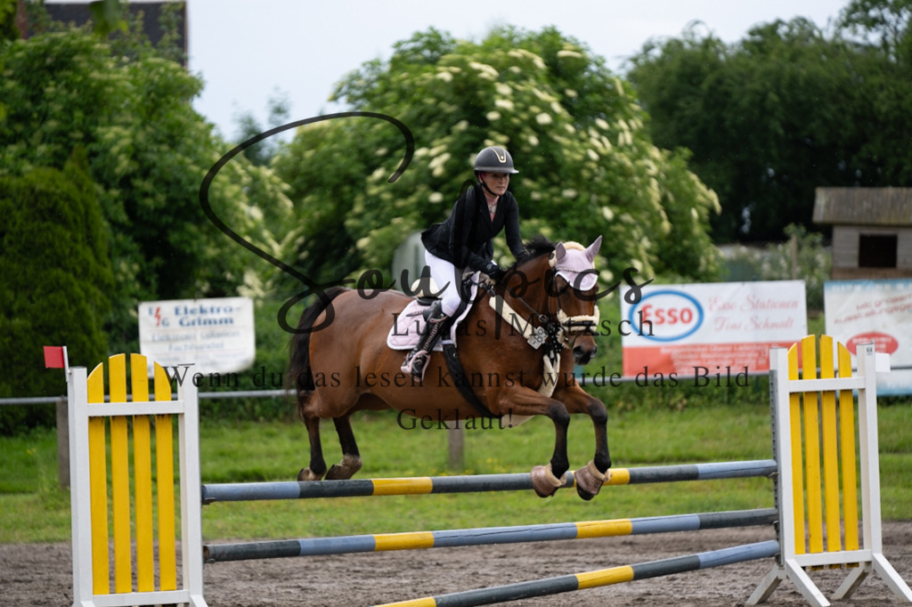 A7V04067 | Pferdefotograf