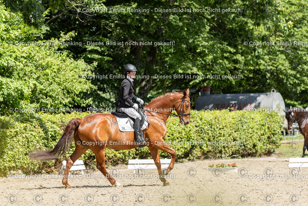 CL5A0153 | Emilia Reinking Fotografie - Realisiert mit Pictrs.com