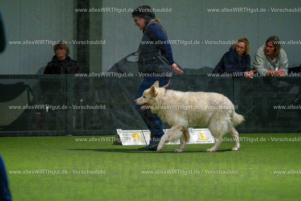 7R504194 | Professionelle Tierfotografie in Mönchengladbach von Daniel Wirth (allesWIRTHgut). Liebevolle & natürliche Bilder von Hunden & Katzen für unvergessliche Erinnerungen.