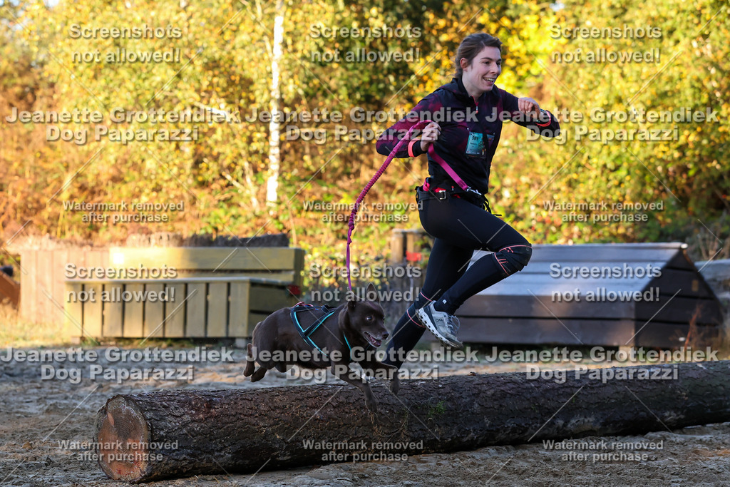 Dog Paparazzi - Strongdog 10-25-597 | Dog Paparazzi Jeanette Grottendiek Fotografie & Videografie - Realisiert mit Pictrs.com