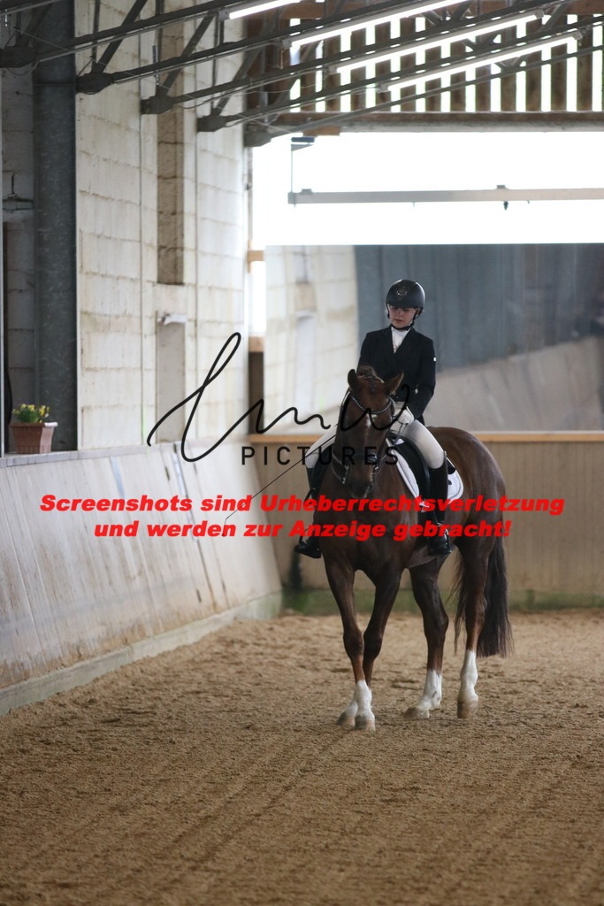 IMG_0684 | lmwpictures - Realisiert mit Pictrs.com