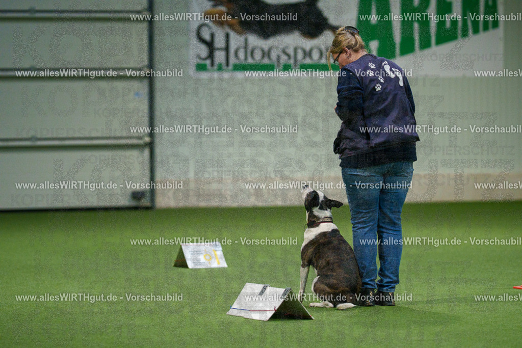 7R504745 | Professionelle Tierfotografie in Mönchengladbach von Daniel Wirth (allesWIRTHgut). Liebevolle & natürliche Bilder von Hunden & Katzen für unvergessliche Erinnerungen.