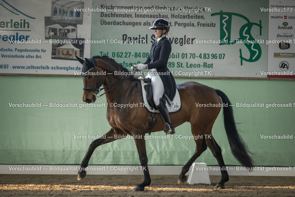 _D5A7766 | Emotionale Pferde- & People-Fotografie rund um Heidelberg, Leimen & Umgebung. Natürliche Fotos von Pferd, Mensch & Familie. Jetzt Termin sichern!