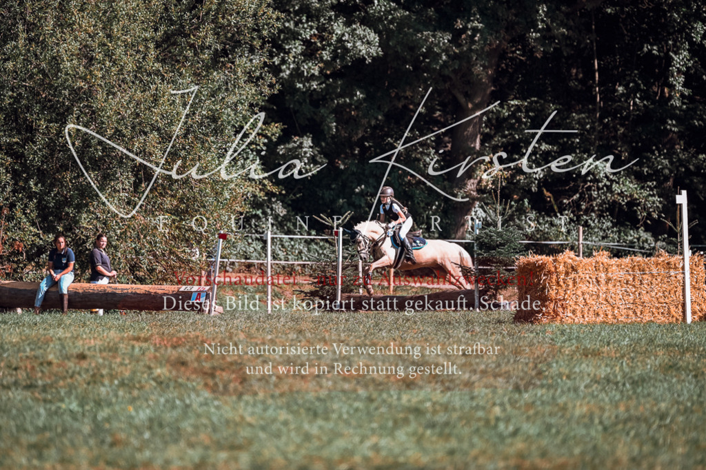 DSC_1062 | Pferde- und Turnierfotografie in Westsachsen. Pferdeportraits, Auftragszeichnungen und intuitive Kunst.
