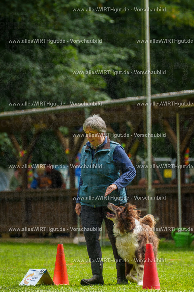 @allesWIRTHgut_Tierfotografie - www.allesWIRTHgut.de - 101204-7R508158 | Professionelle Tierfotografie in Mönchengladbach von Daniel Wirth (allesWIRTHgut). Liebevolle & natürliche Bilder von Hunden & Katzen für unvergessliche Erinnerungen.
