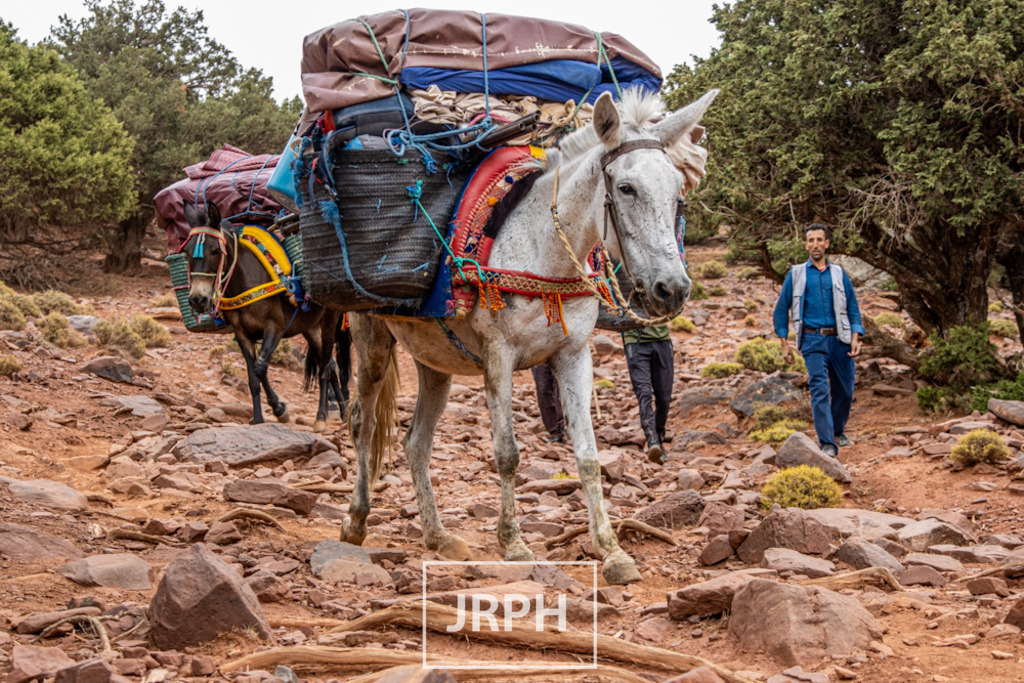 IMG_8177 | jrph - Realisiert mit Pictrs.com