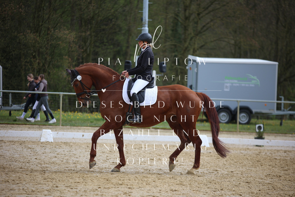 IMGT5153 | pl-fotografie