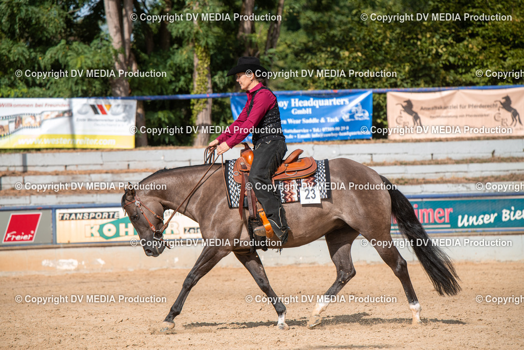 EWP_5816 | dv-media-shop - Realisiert mit Pictrs.com