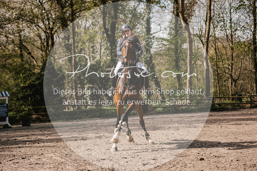 3I6A4118 | Stimmungsvolle Portraits und Reitsportfotografie im Ruhrgebiet und im Münsterland.

Pferdefotografie, Hundefotografie, Tierfotografie, Reportagen, Portraits von Tier und Mensch, Turnierfotografie in Bochum, Recklinghausen, Marl, Haltern am See, Dülmen.. - Realisiert mit Pictrs.com