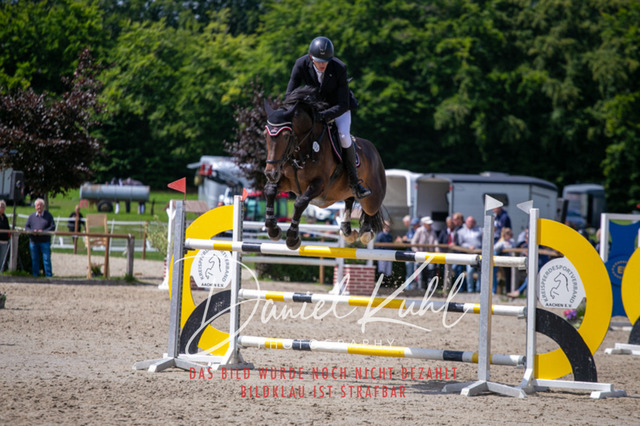 IMG_5823 | Turniersportfotografie; Pferdefotografie; Dressurfotografie