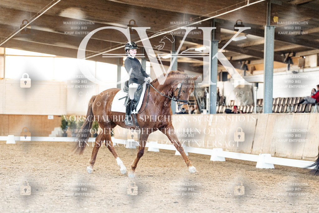 CK908346 | Turnierfotografie Pferdefotografie Trier Rheinland-Pfalz Pferdesport Reitsport Tierfotografie Sportfotografie Pferdevideo Pferdevideografie Equestrianvideography equestrianphotography  - Realisiert mit Pictrs.com