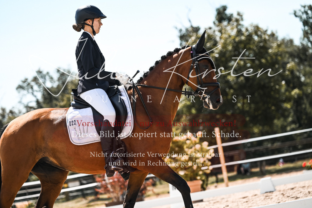 DSC_5492 | Pferde- und Turnierfotografie in Westsachsen. Pferdeportraits, Auftragszeichnungen und intuitive Kunst.