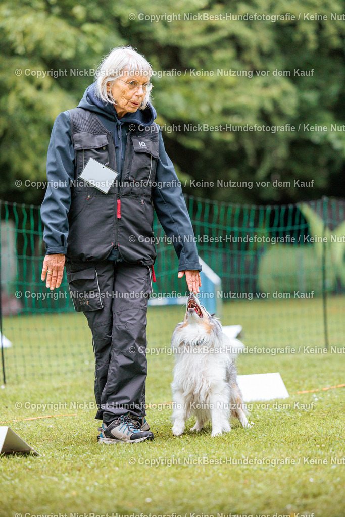 RO-Blumenthal-2026-Nickbest-Hundefotografie-4300 | Dein Hund! Dein Moment! Deine Erinnerungen! Hundefotografie in Bremen Blumenthal. Ich fange die besonderen Momente deines Vierbeiners ein – ob Indoor mit Blitzanlage oder in der freien Natur. Sicher dir dein Moment und dein Termin für eure Erinnerungen.