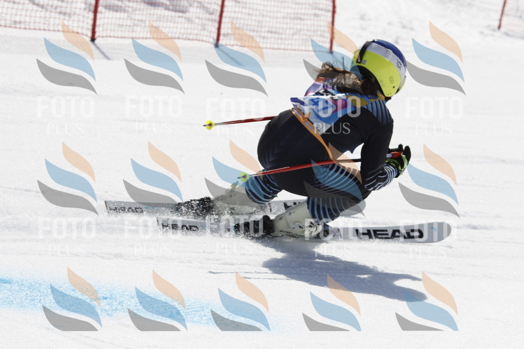 _U3G1175 | holidayphoto