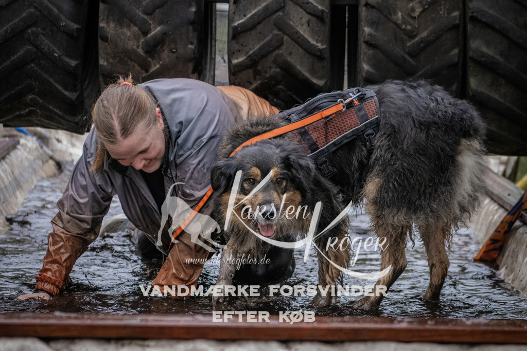 1706_ZZ94996 | kk-dogfotos