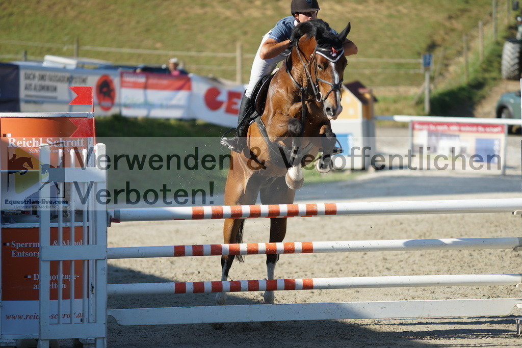 DSC01407 | equestrian-live-com