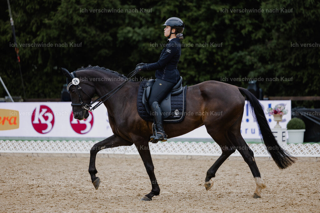 Leonie24_FHC2025-3 | working equitationturnier fotograf videograf stoibphotography marixx film working equitation deutschland reitsport turnierfotografie eventfotografie equestrian events