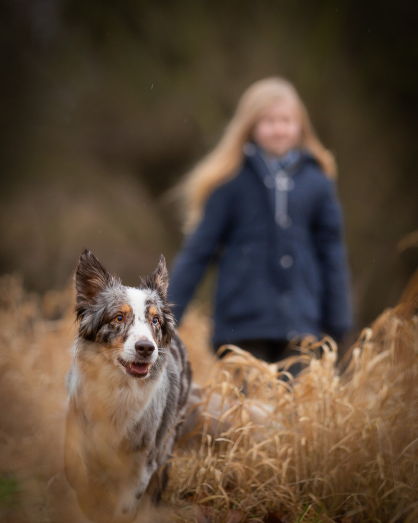 allesWIRTHgut Tierfotografie -7IV01231 | Professionelle Tierfotografie in Mönchengladbach von Daniel Wirth (allesWIRTHgut). Liebevolle & natürliche Bilder von Hunden & Katzen für unvergessliche Erinnerungen.