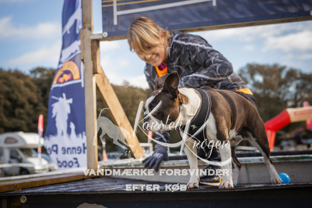 1303_ZZ98885-2 | kk-dogfotos