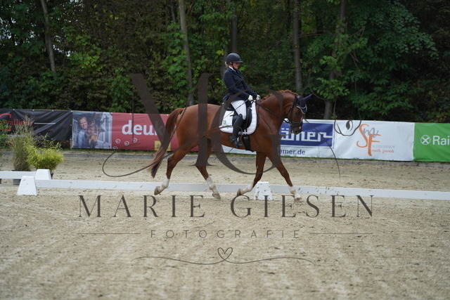VAN01649 | Marie Giesen Fotografie - Realisiert mit Pictrs.com