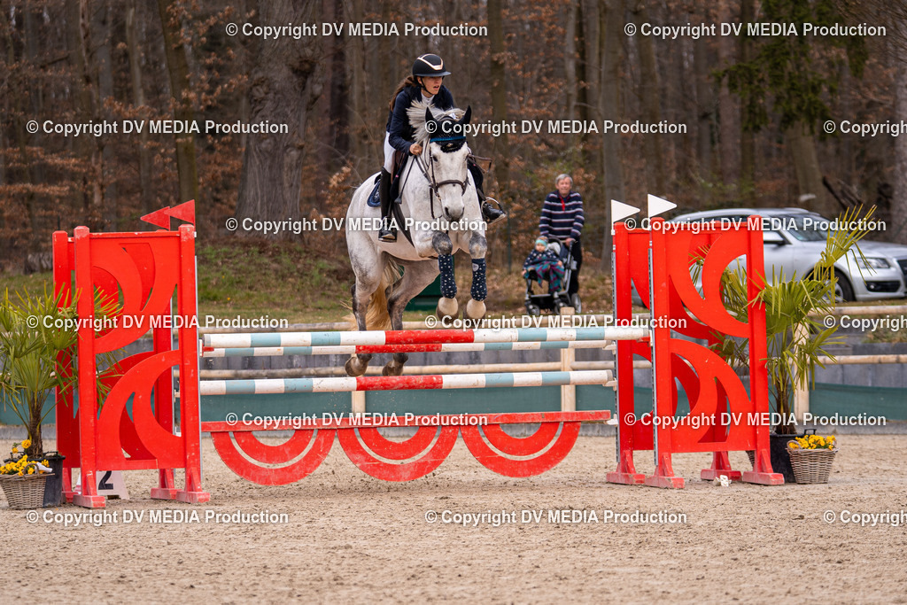 Kranichstein Tag 2-1825 | dv-media-shop - Realisiert mit Pictrs.com