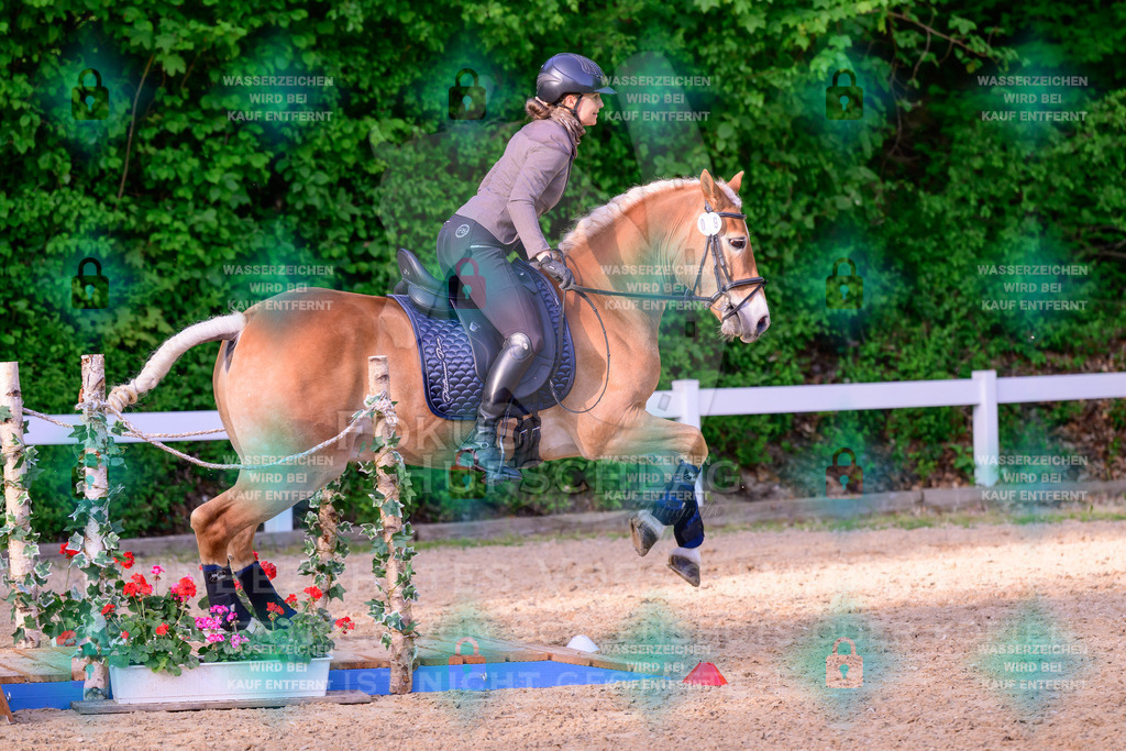 02052026-Giesenbach-03-Speedtrail-0841 | Fokus Hufschlag Fotografie - Realisiert mit Pictrs.com