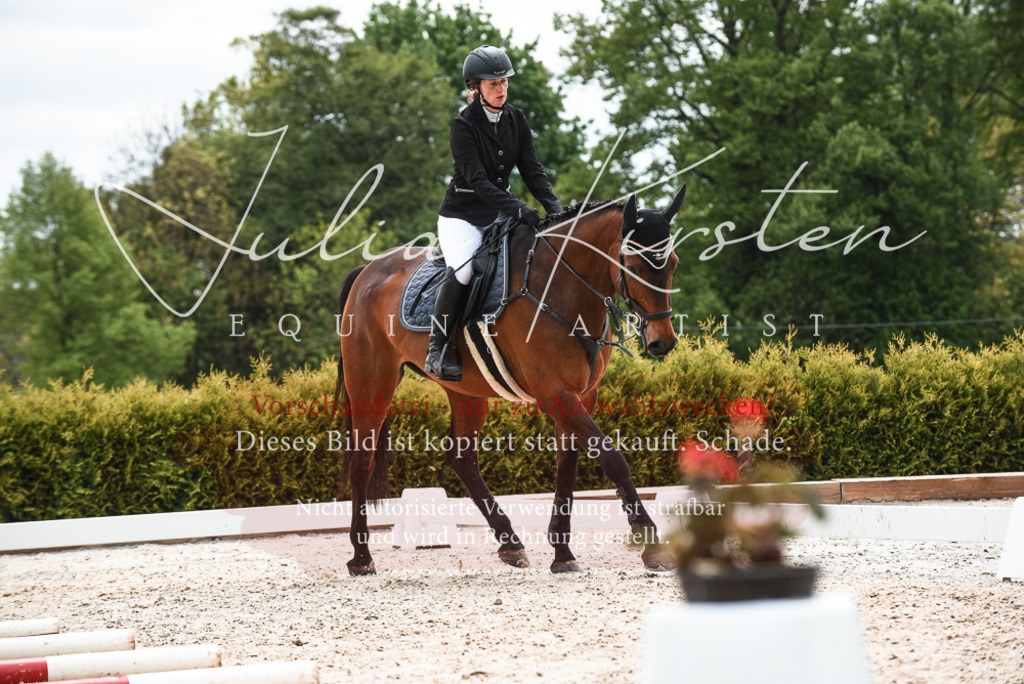 20230518_JK-Röhrsdorf-10-354 | Pferde- und Turnierfotografie in Westsachsen. Pferdeportraits, Auftragszeichnungen und intuitive Kunst.