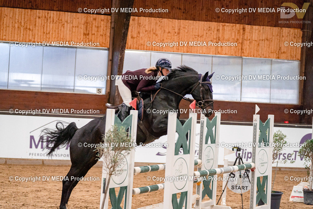 Kranichstein II Tag 1-366 | dv-media-shop - Realisiert mit Pictrs.com