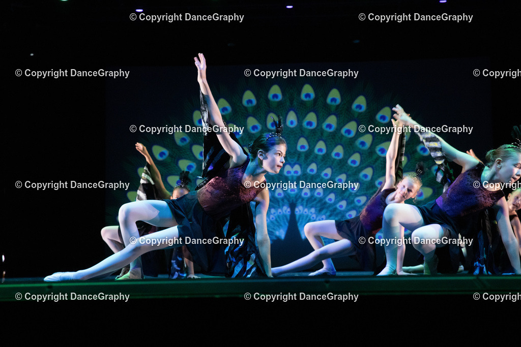 GPHY6170 | DanceGraphy - Realisiert mit Pictrs.com