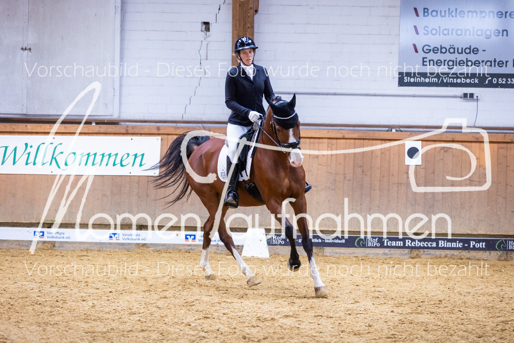 Sth-A-Dre-2St-059 | MomenTaufnahmen Pferdesportfotos