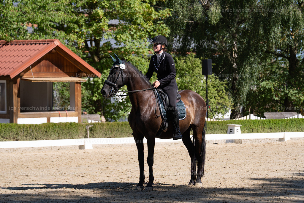 WA_DR_12_SinaFilmArt_IN01565 | working equitationturnier fotograf videograf stoibphotography marixx film working equitation deutschland reitsport turnierfotografie eventfotografie equestrian events
