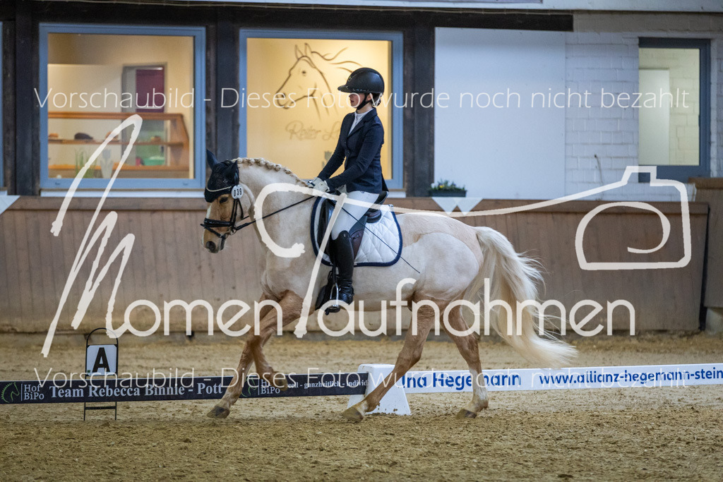 Sth-WBO25-EDr-070 | MomenTaufnahmen Pferdesportfotos