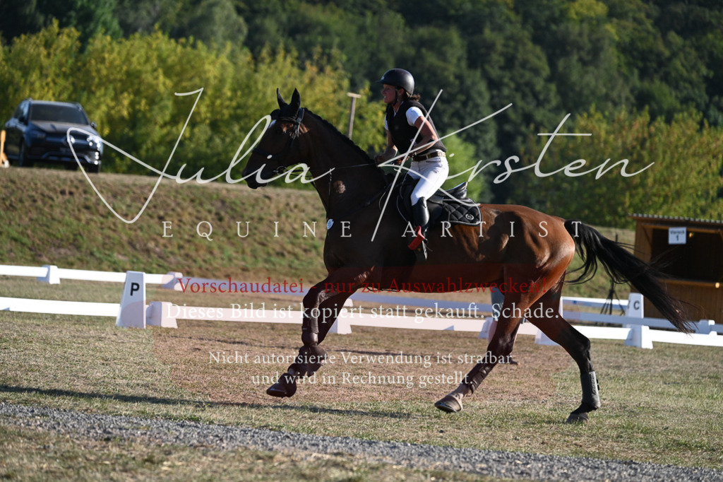 DSC_9031 | Pferde- und Turnierfotografie in Westsachsen. Pferdeportraits, Auftragszeichnungen und intuitive Kunst.